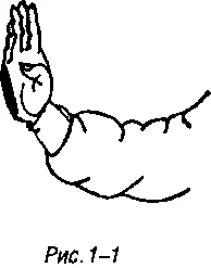 Обложка Техника открытой руки