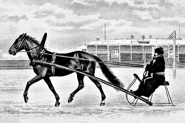 Обложка Галопом к столбу