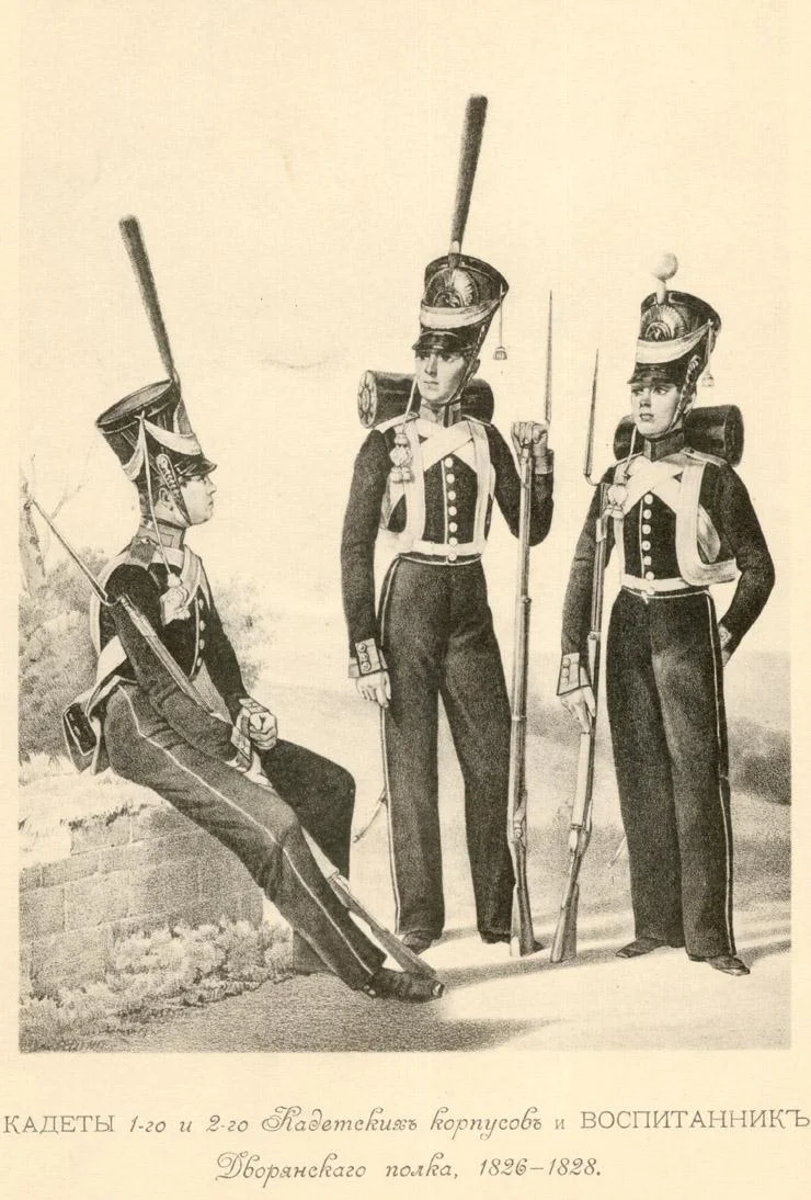 Обложка Историческое описание одежды и вооружения российских войск. Том 25