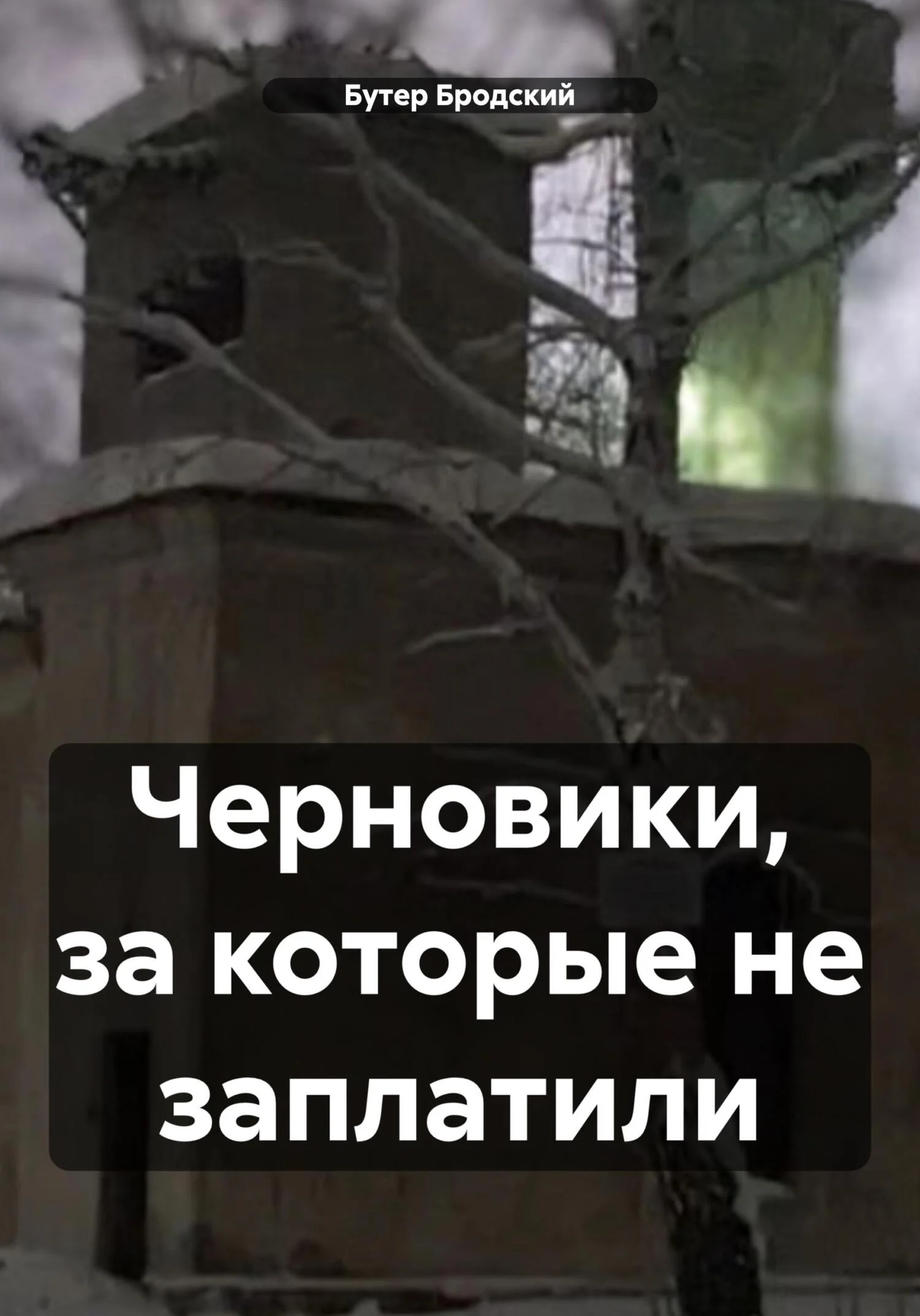 Обложка Черновики, за которые не заплатили