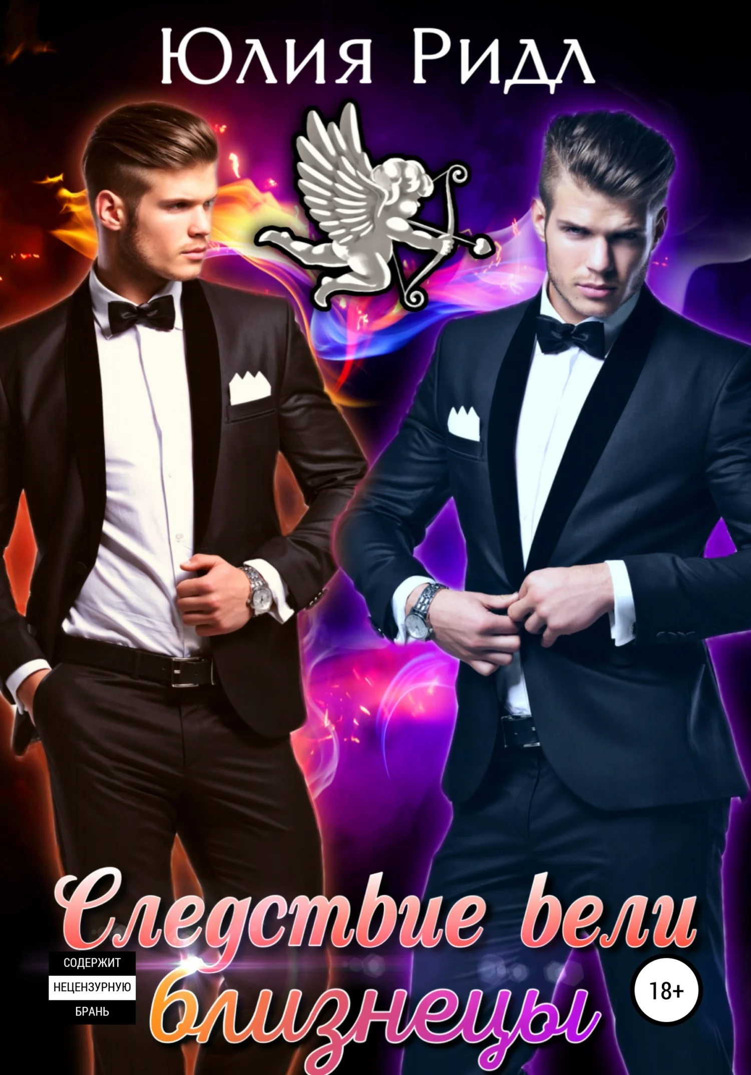 Обложка Следствие вели близнецы