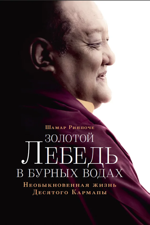 Обложка Золотой лебедь в бурных водах. Необыкновенная жизнь Десятого Кармапы