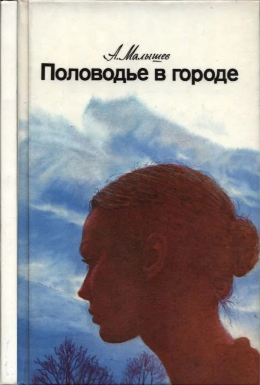Обложка Половодье в городе