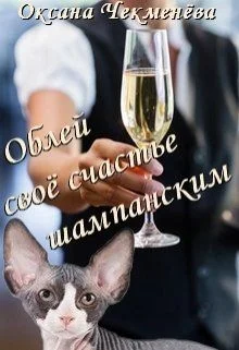 Обложка Облей своё счастье шампанским