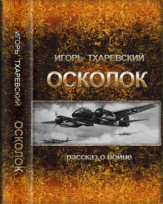 Обложка Осколок