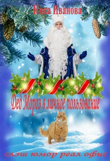Обложка Дед Мороз в личное пользование [СИ]