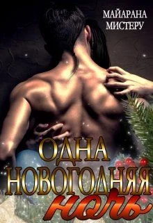 Обложка Одна новогодняя ночь