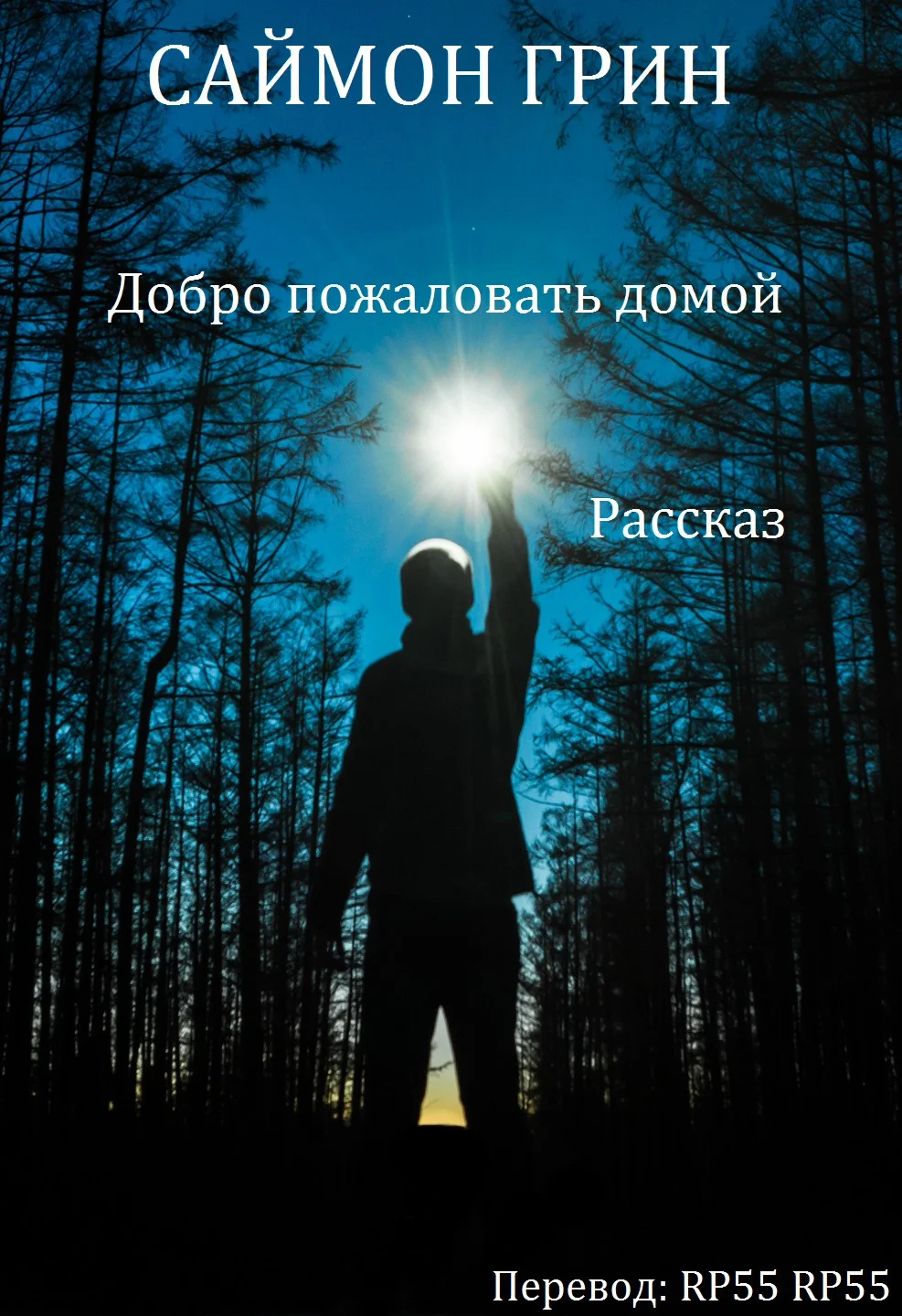 Обложка Добро пожаловать домой