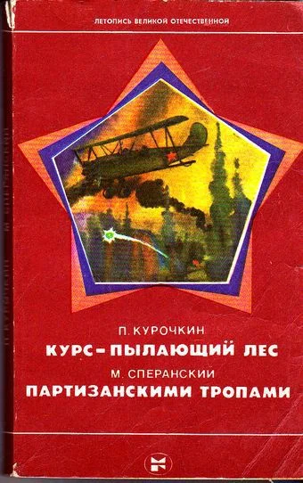 Обложка Курс — пылающий лес. Партизанскими тропами