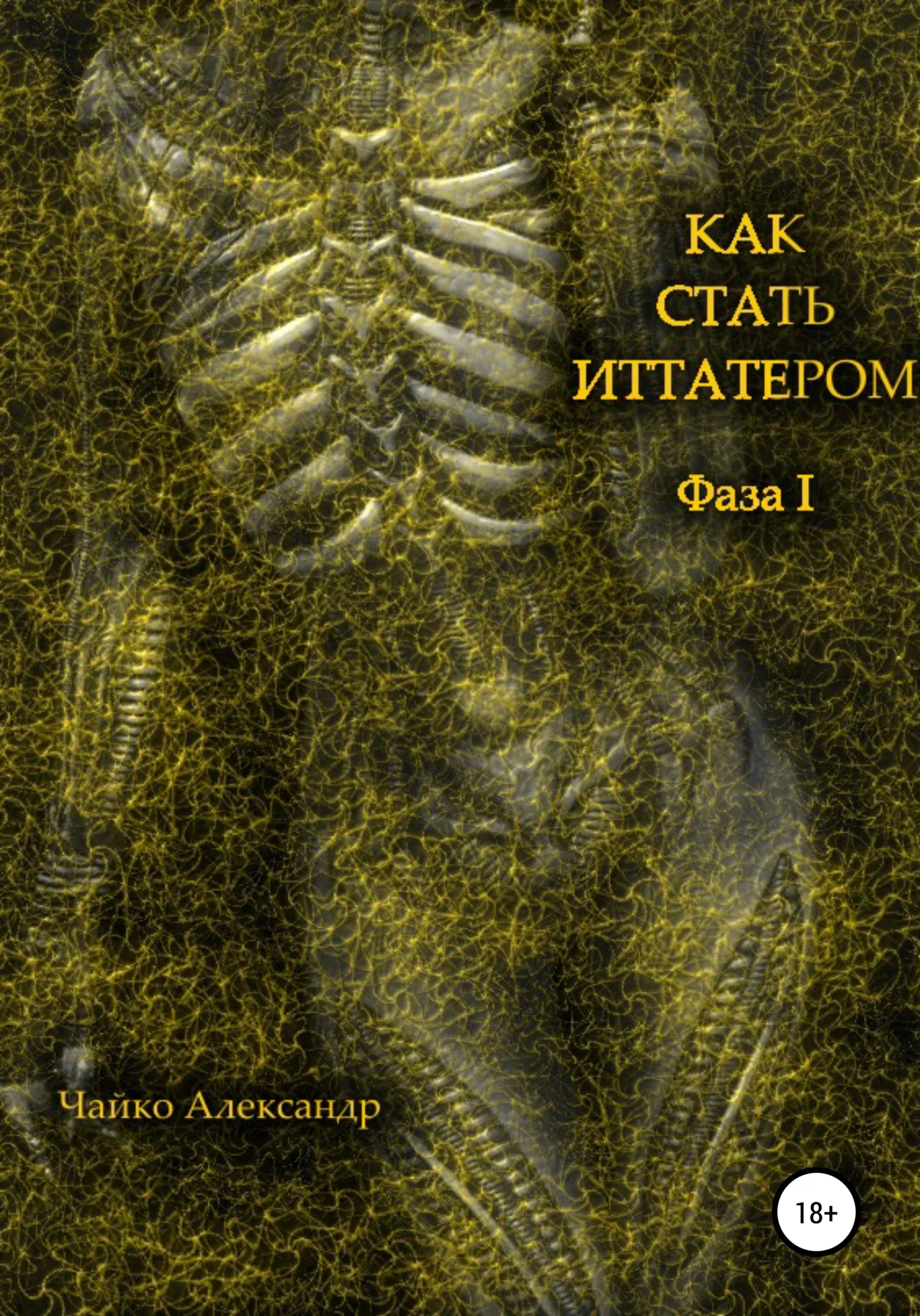 Обложка Как стать иттатером