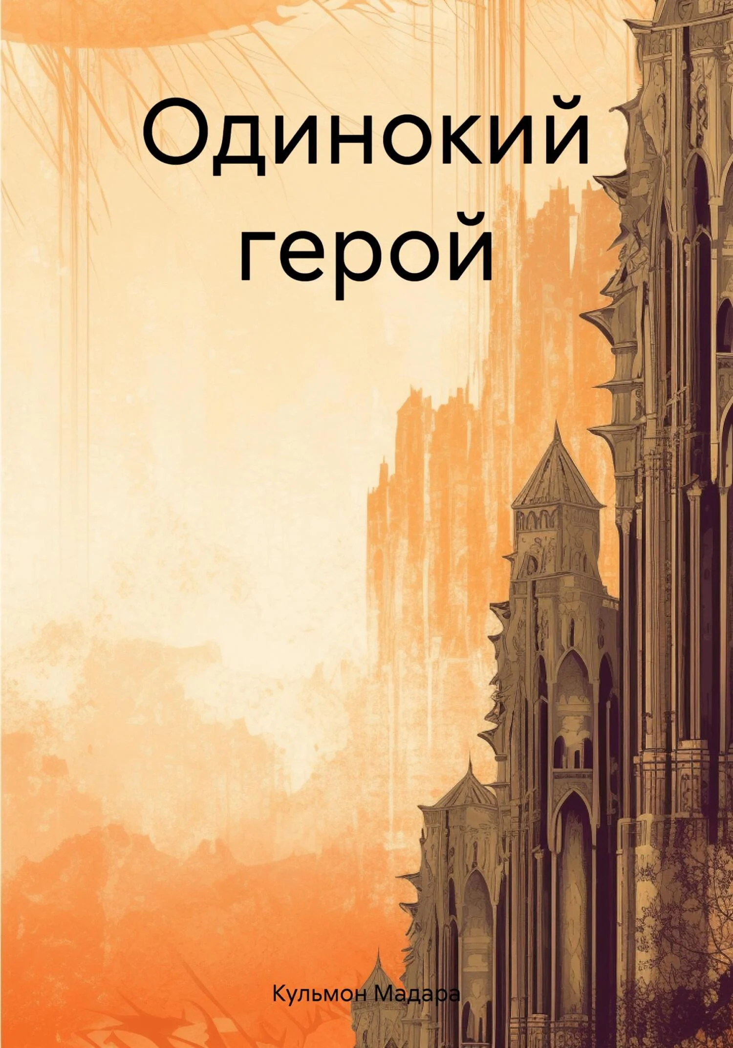 Обложка Одинокий герой