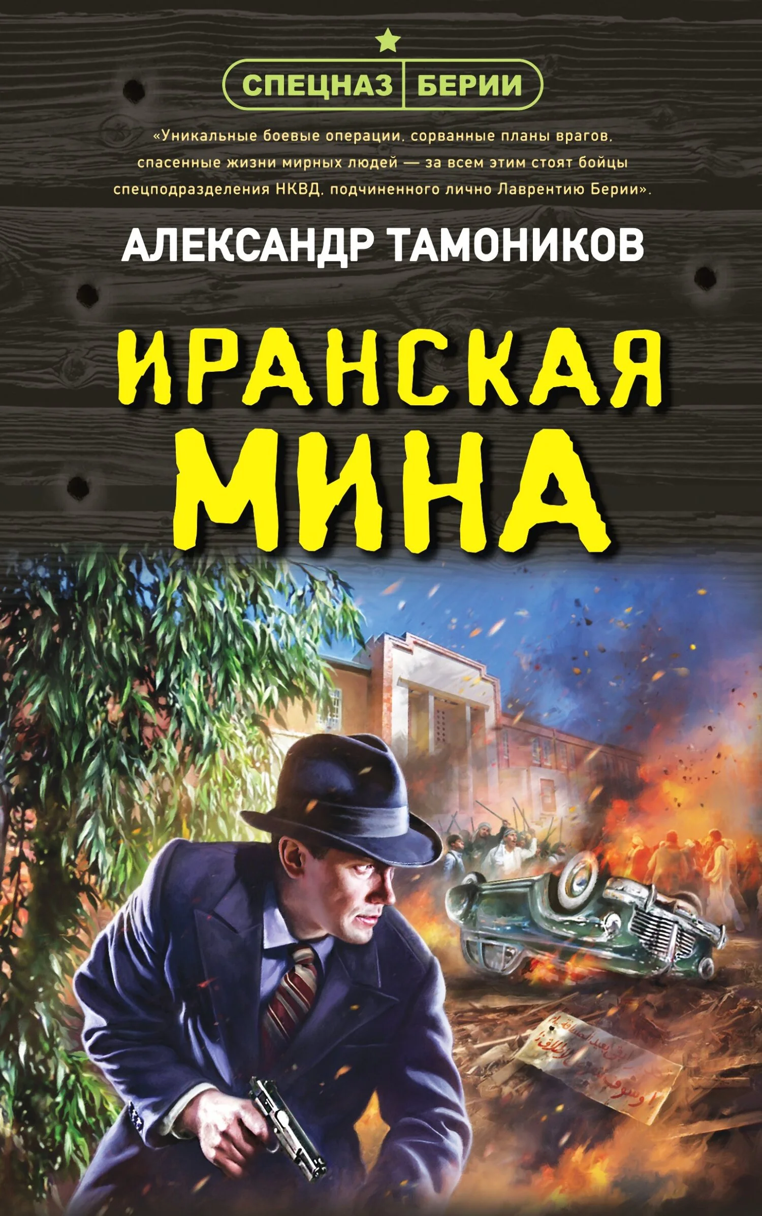Обложка Иранская мина