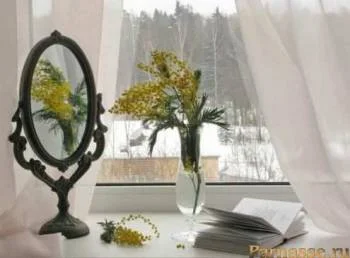 Обложка В тени твоей любви