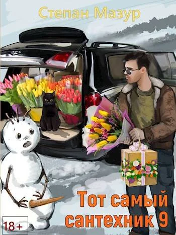 Обложка Тот самый сантехник 9