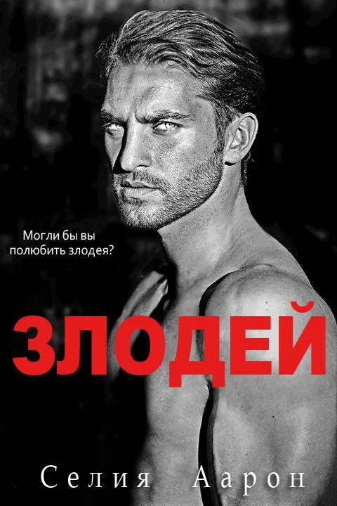 Обложка Злодей