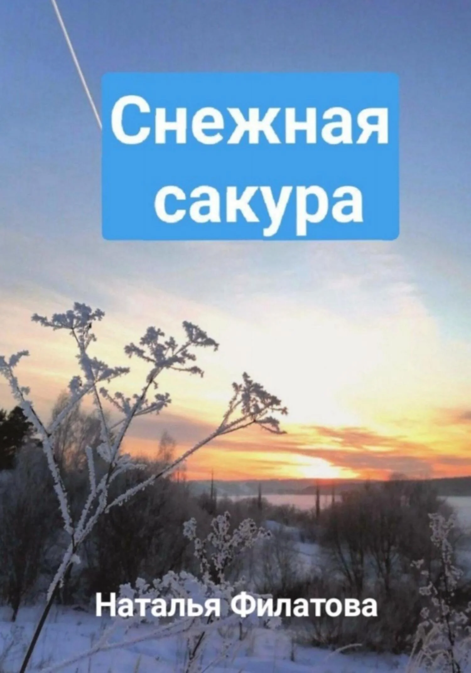Обложка Снежная сакура