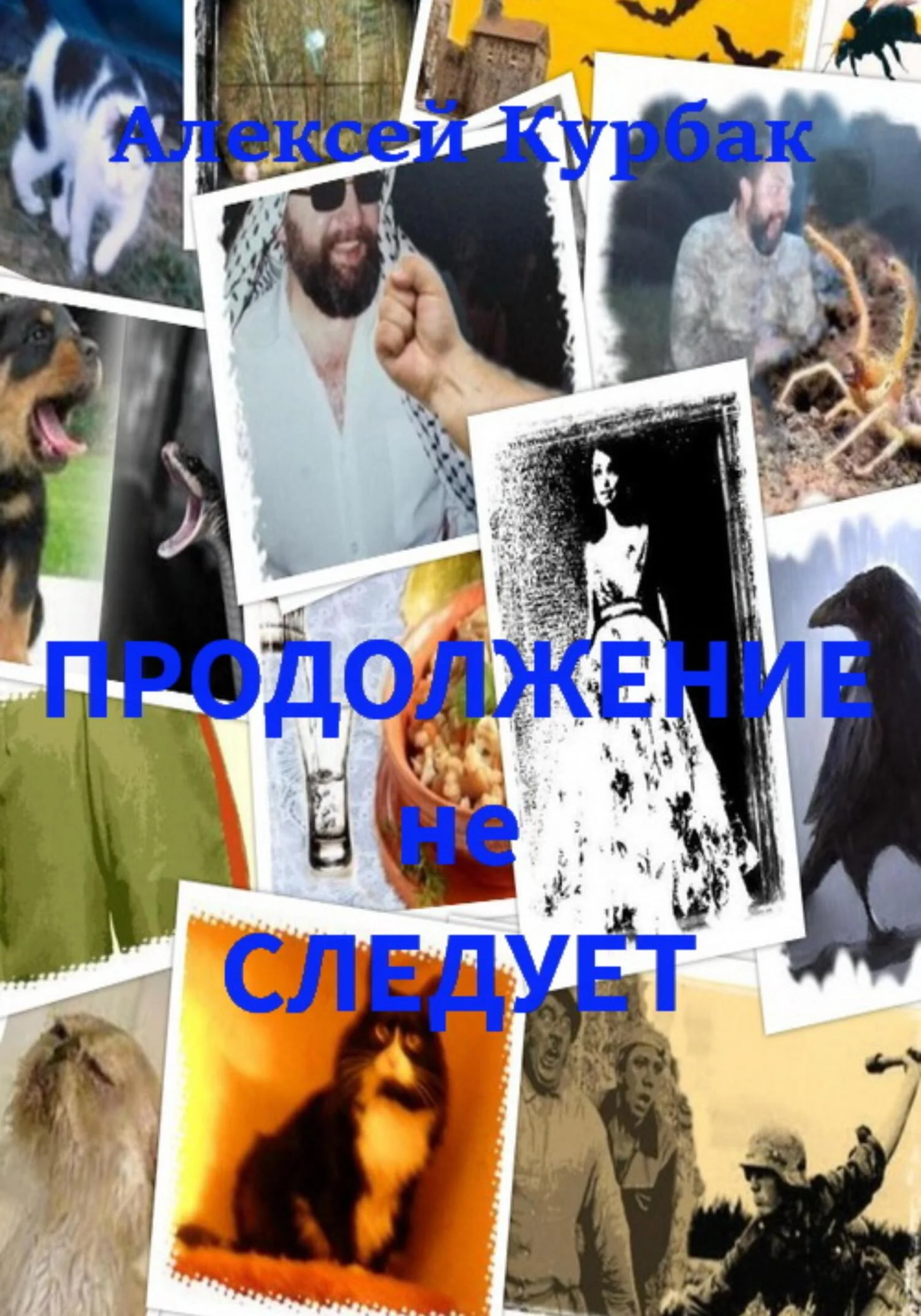 Обложка Продолжение не следует