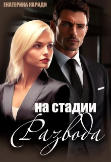 Обложка На стадии развода