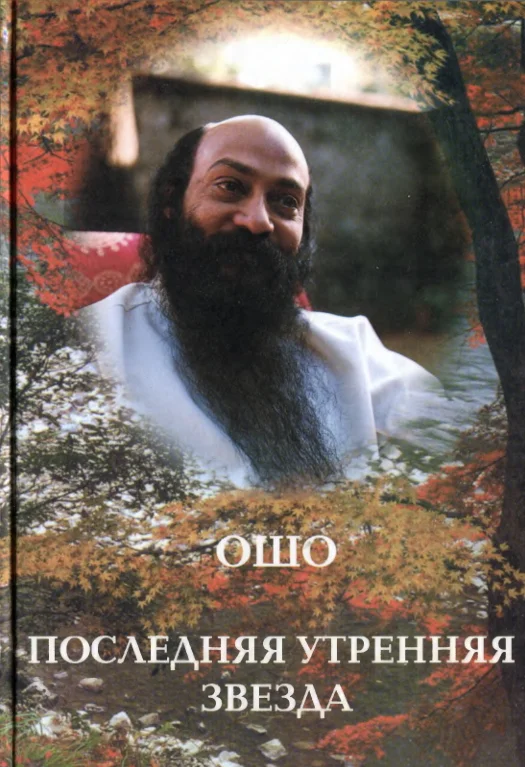 Обложка Последняя утренняя звезда