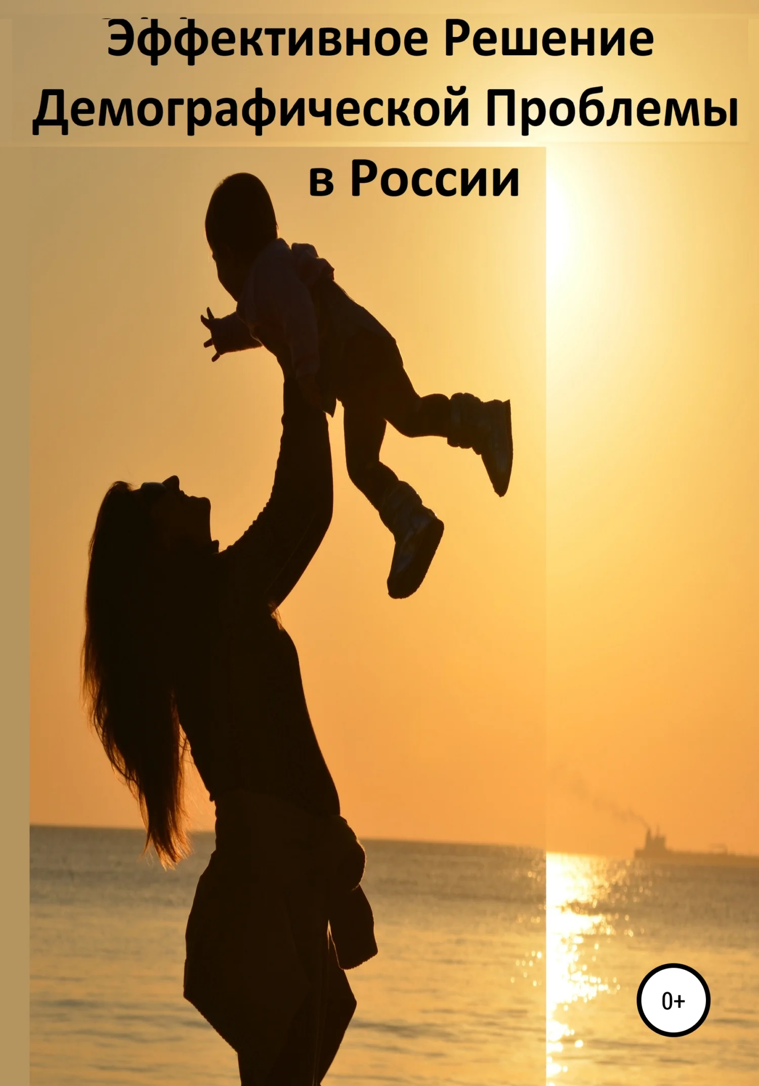 Обложка Эффективное Решение Демографической Проблемы в России