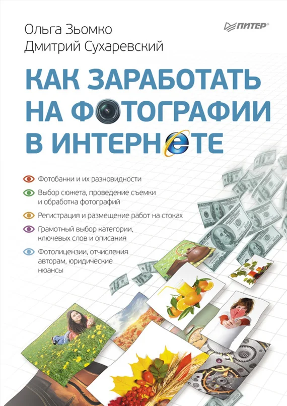 Обложка Как заработать на фотографии в Интернете