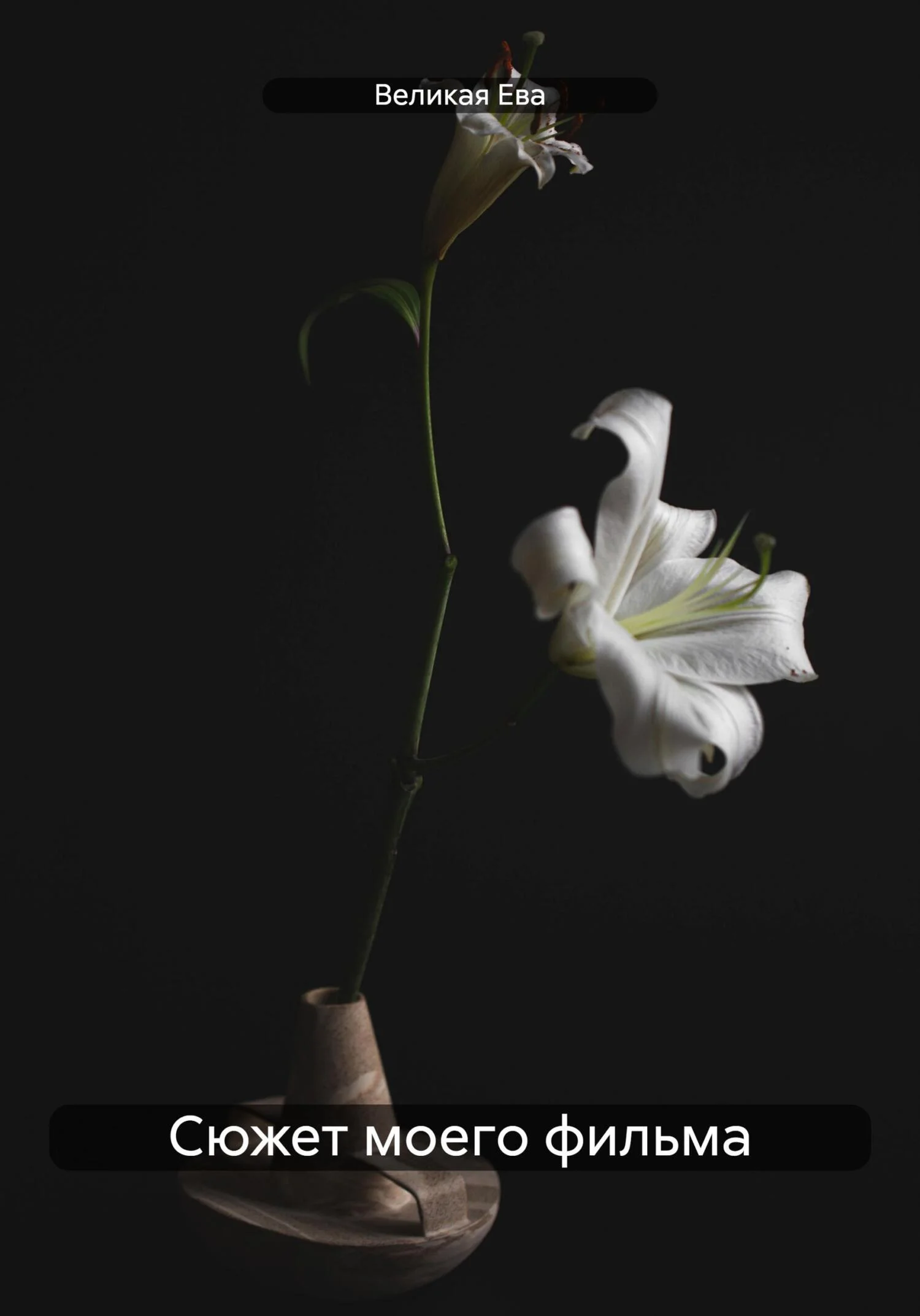 Обложка Сюжет моего фильма