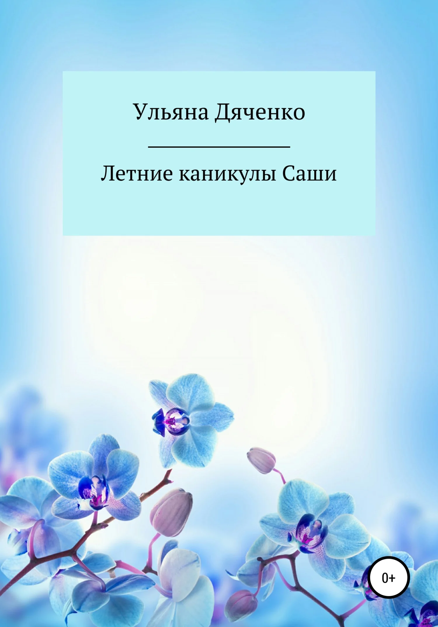 Обложка Летние каникулы Саши