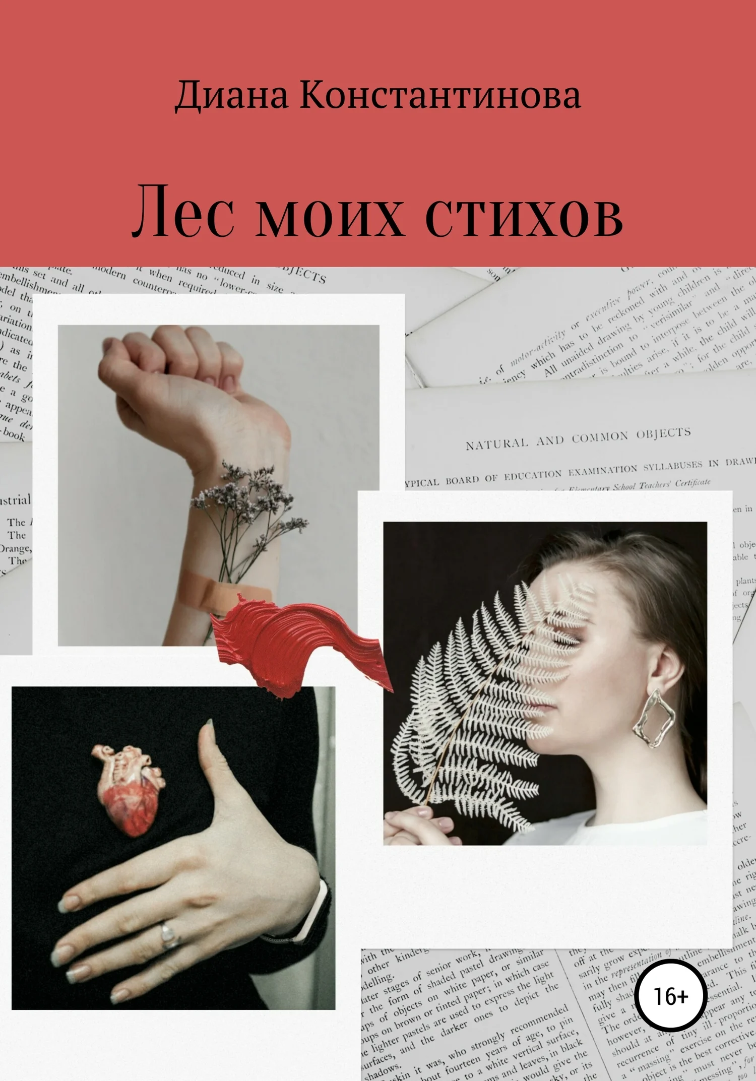 Обложка Лес моих стихов