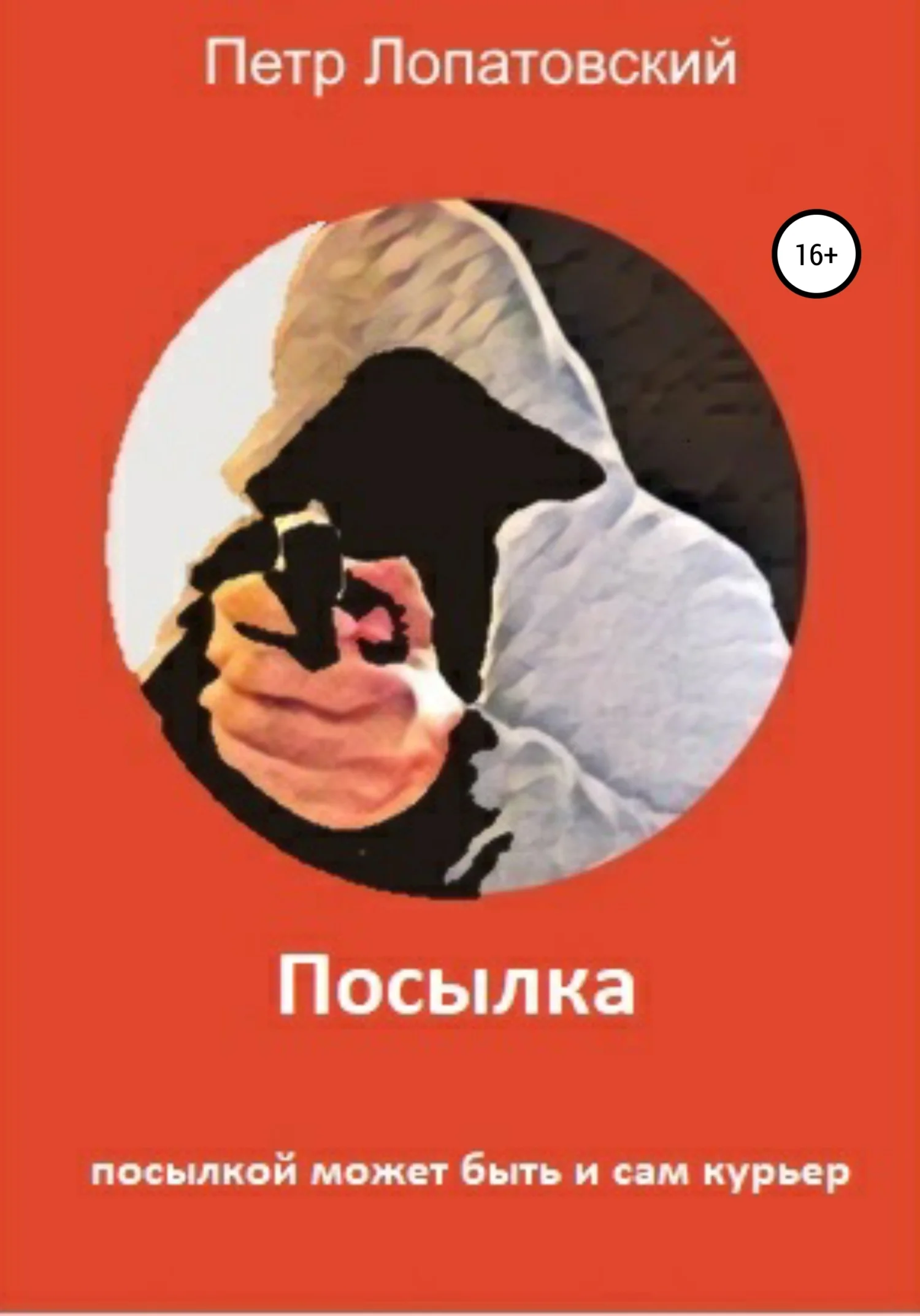 Обложка Посылка