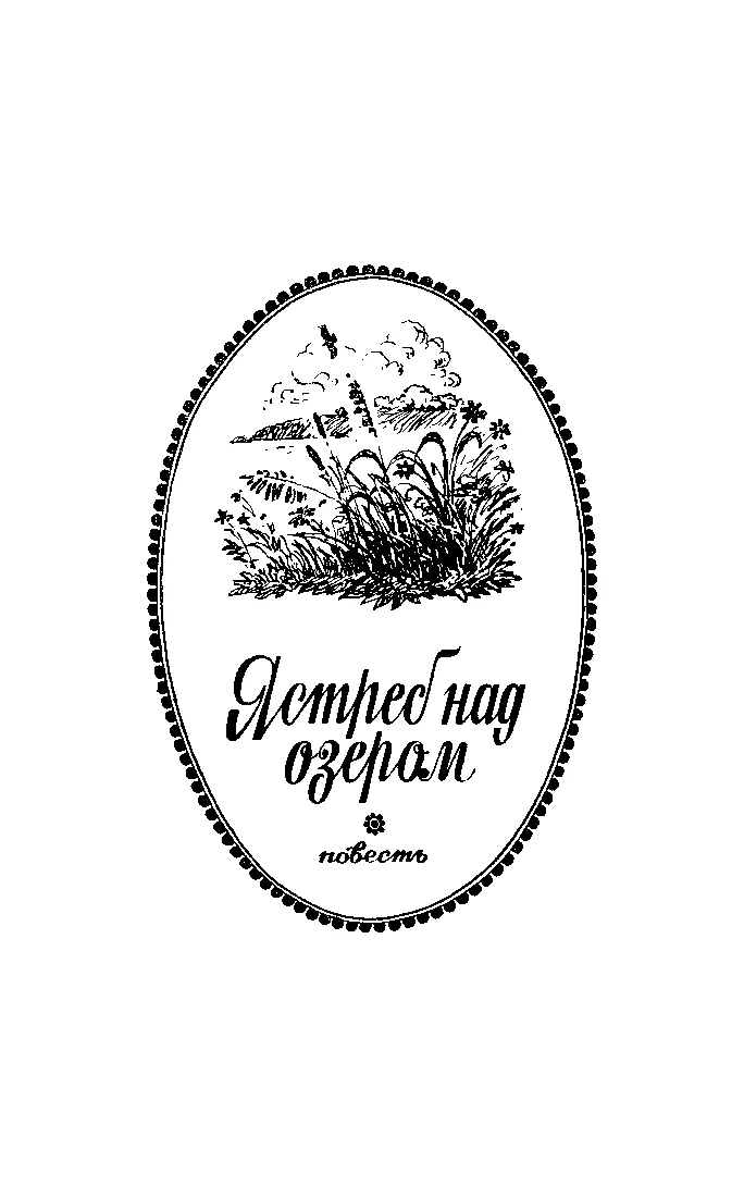 Обложка Ястреб над озером