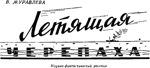 Обложка «Летящая черепаха»