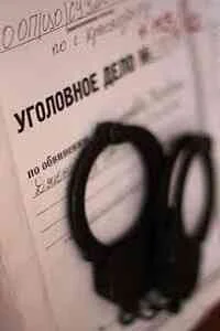 Обложка Расследования Дениса Будова. Книга первая