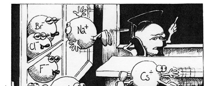 Обложка Сборник статей Майи Гориной