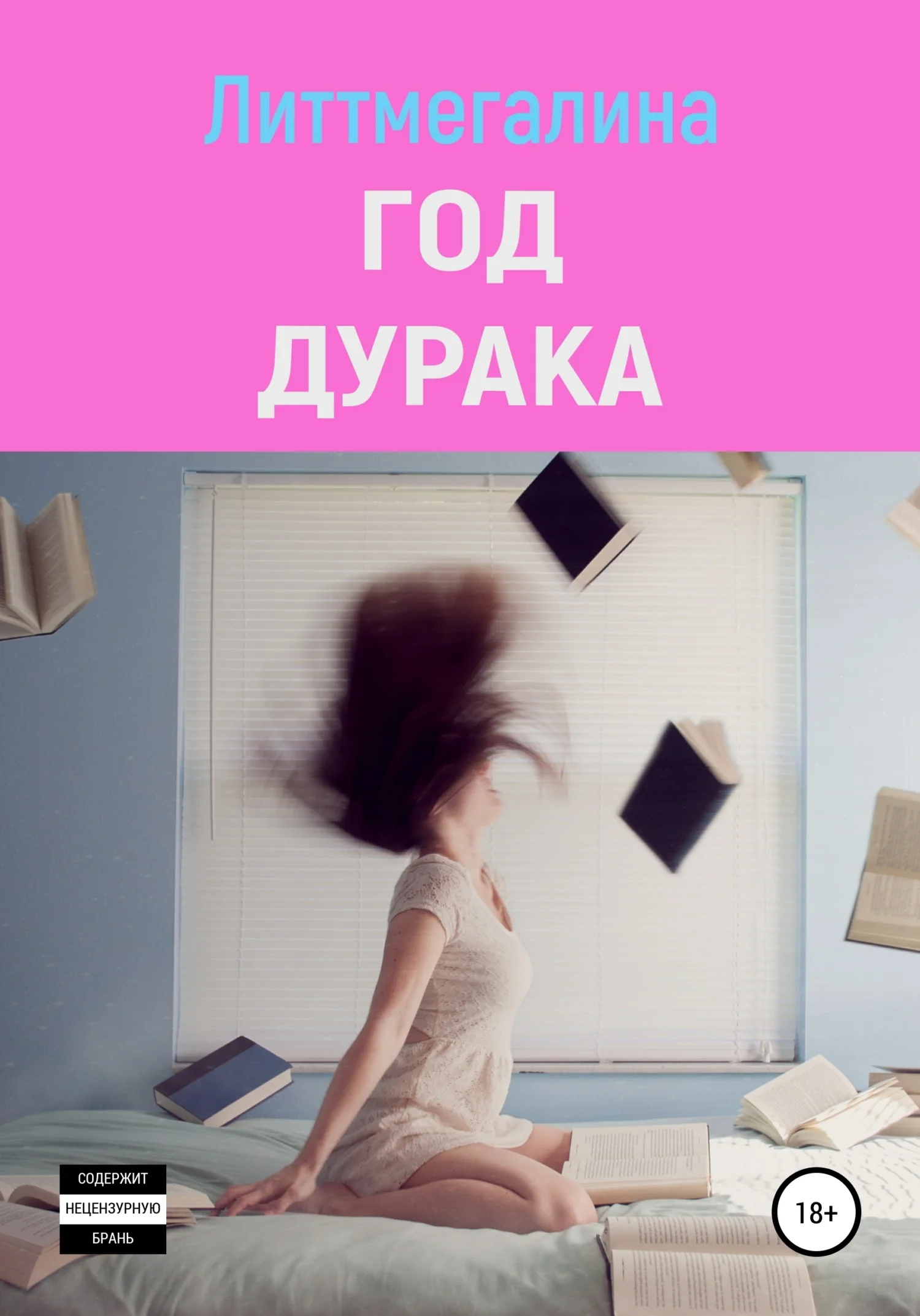 Обложка Год дурака