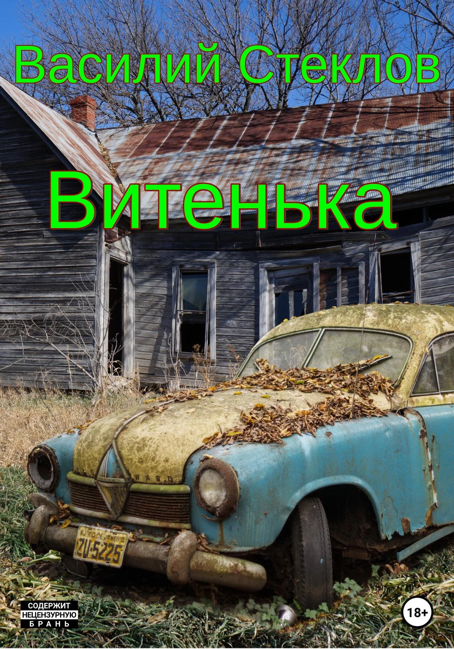 Обложка Витенька