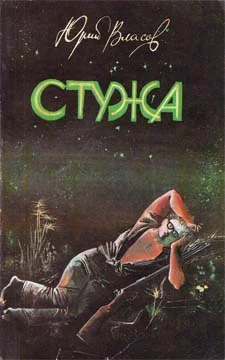 Обложка Стужа