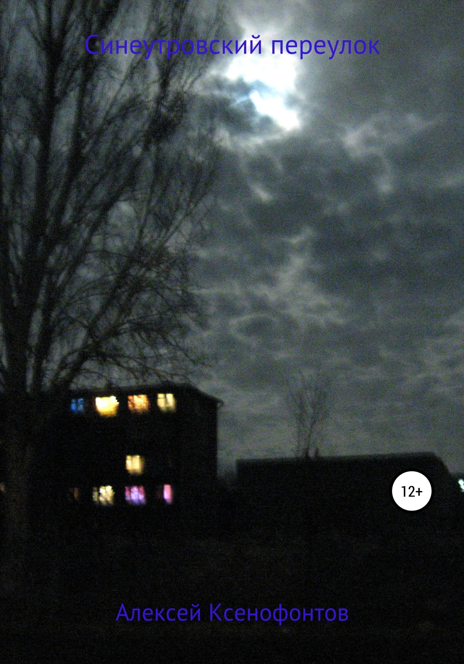 Обложка Синеутровский переулок