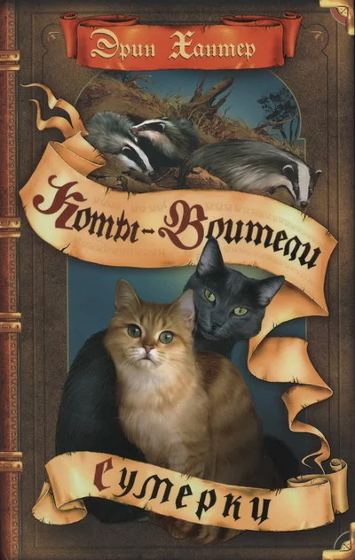 Обложка Сумерки