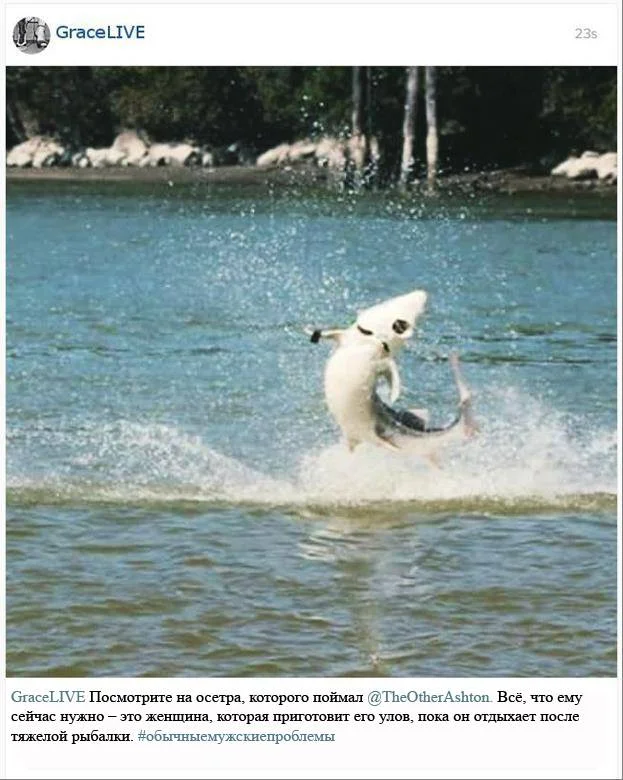 Обложка Поцелуй, разлетевшийся на 1000 гифок