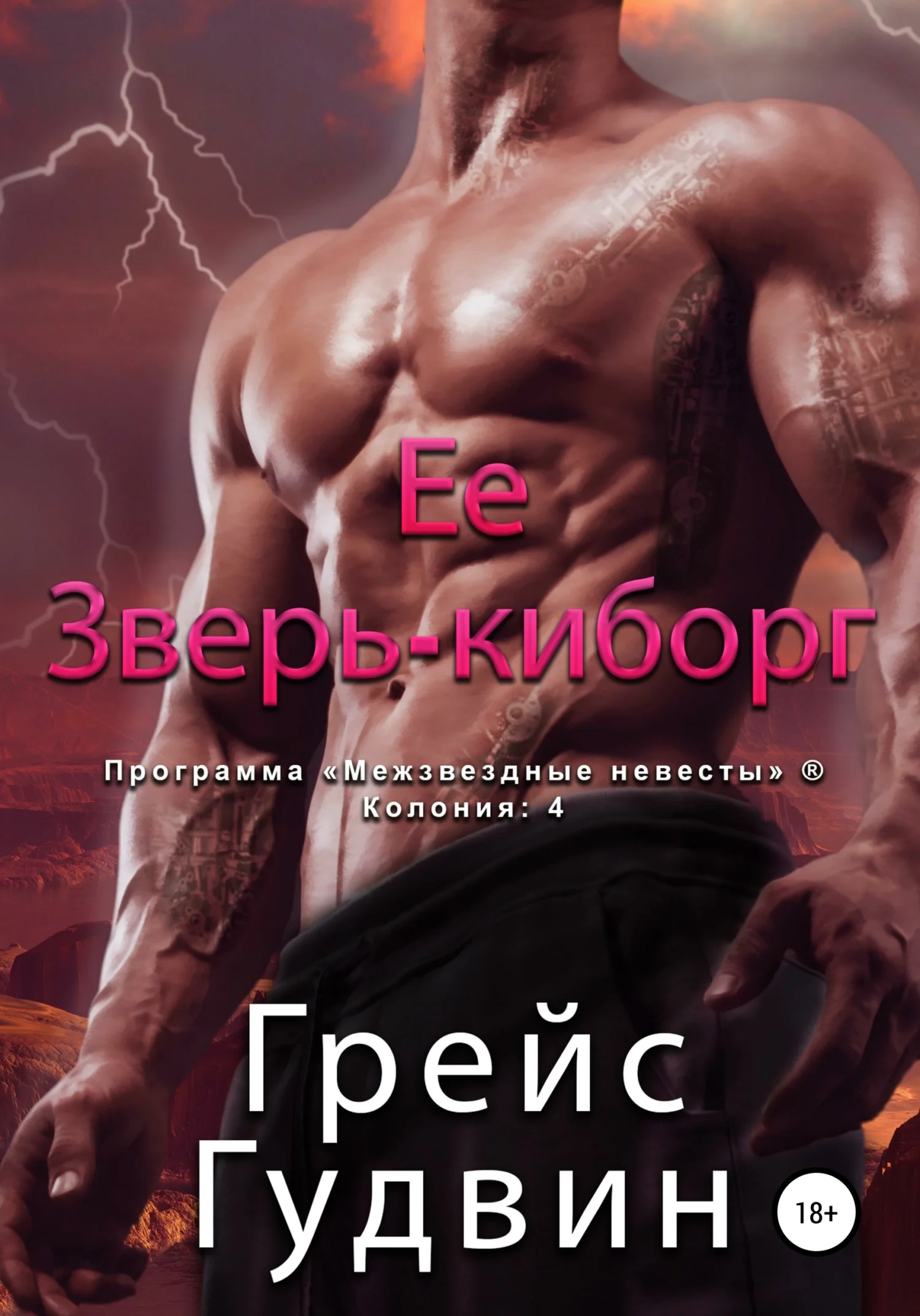 Обложка Ее зверь-киборг