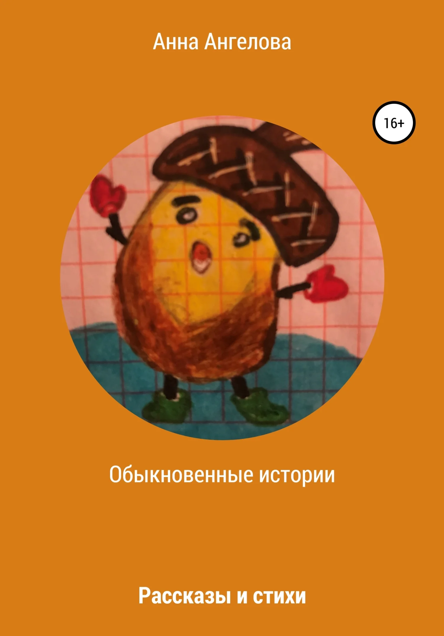 Обложка Обыкновенные истории