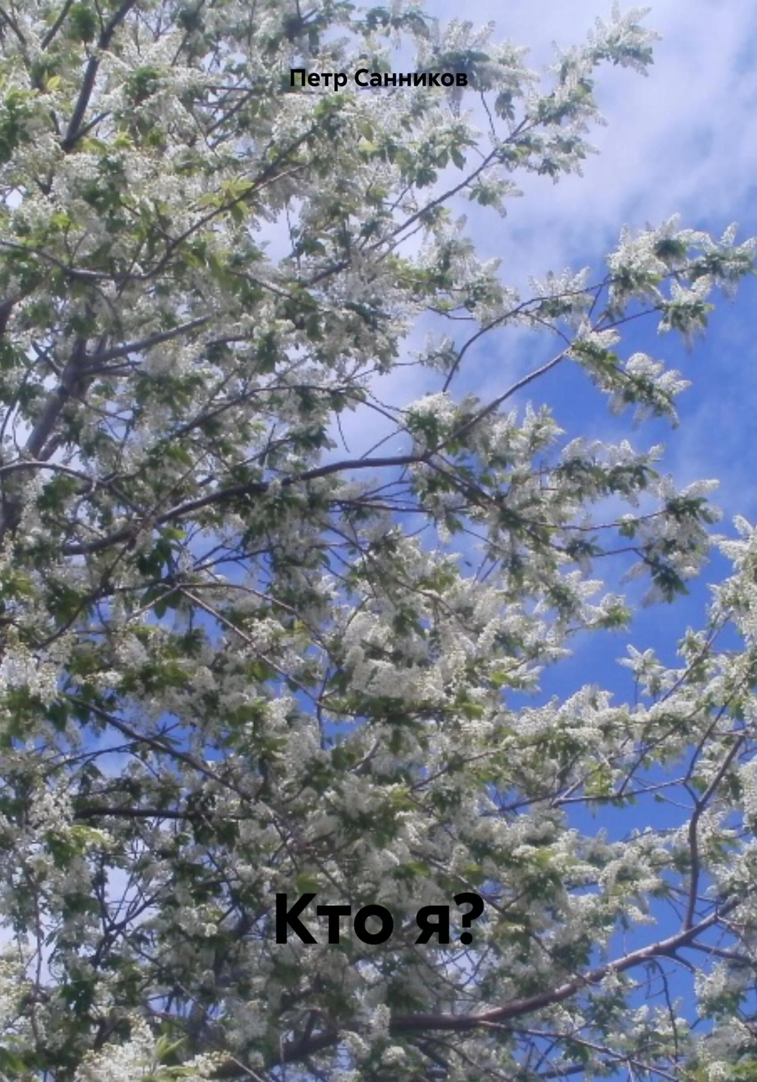 Обложка Кто я?