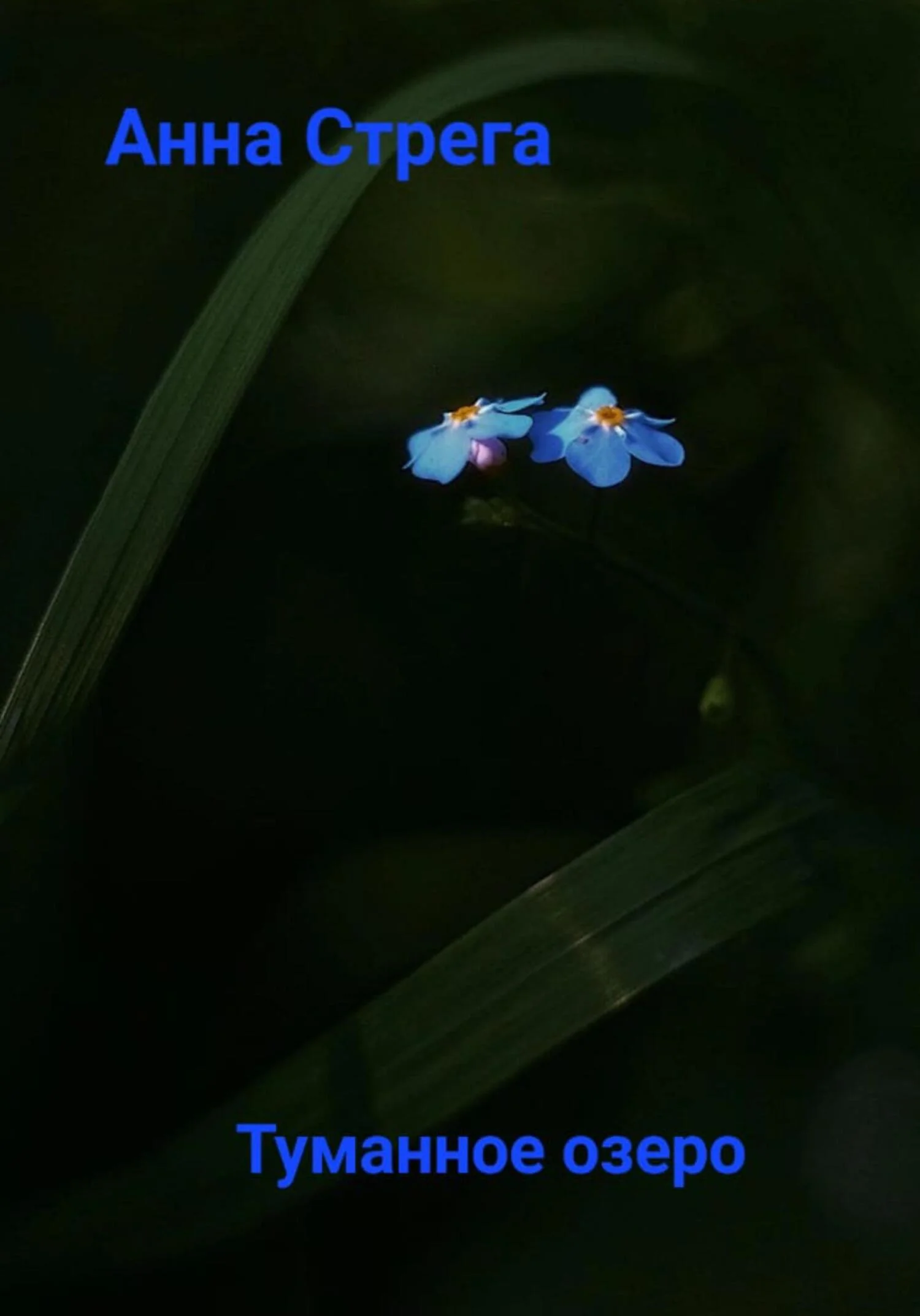 Обложка Tуманное озеро