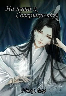 Обложка На пути к Совершенству