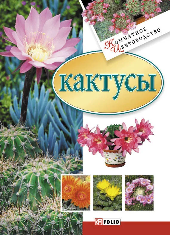 Обложка Кактусы