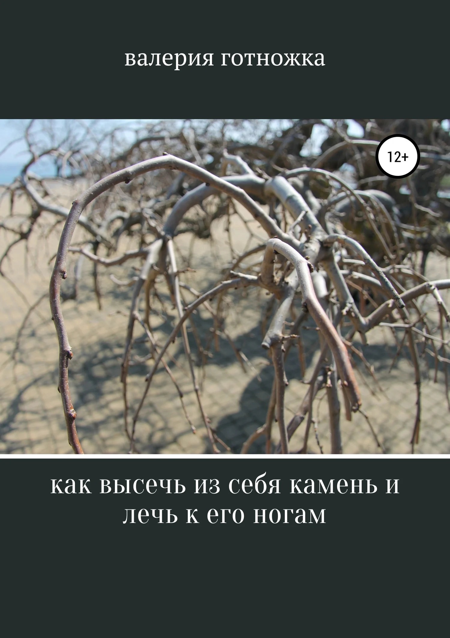 Обложка Как высечь из себя камень и лечь к его ногам