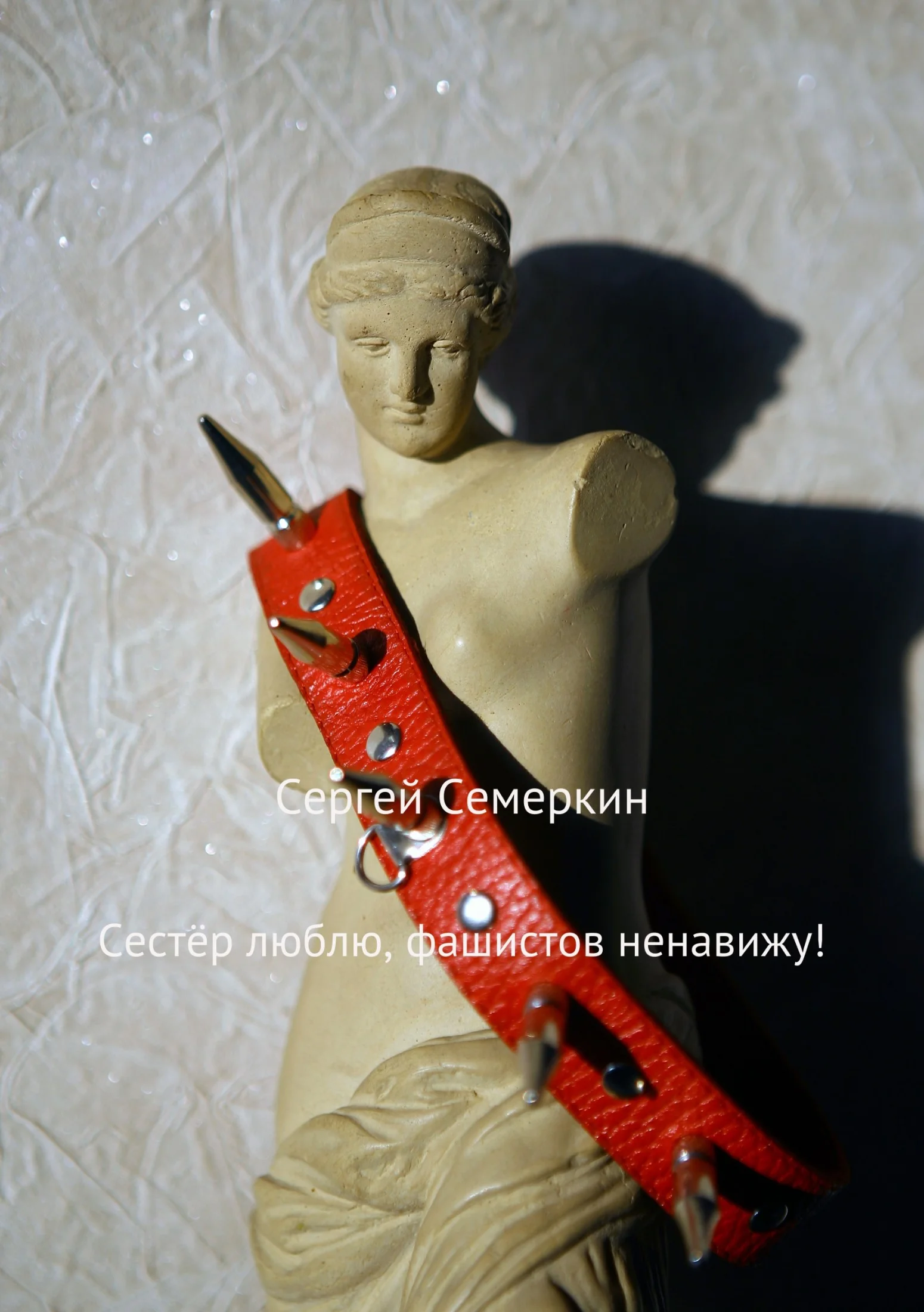 Обложка Сестёр люблю, фашистов ненавижу!