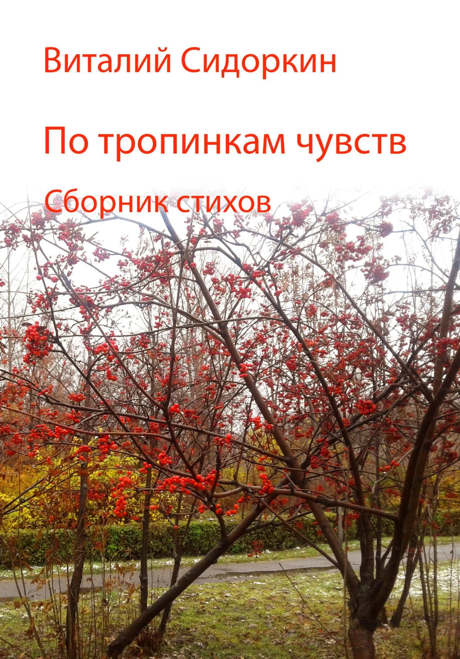 Обложка По тропинкам чувств