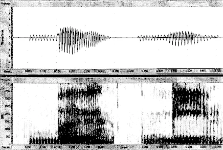 Обложка Дополнительная артикуляция согласных в связи с некоторыми фонетическими изменениями в русском языке