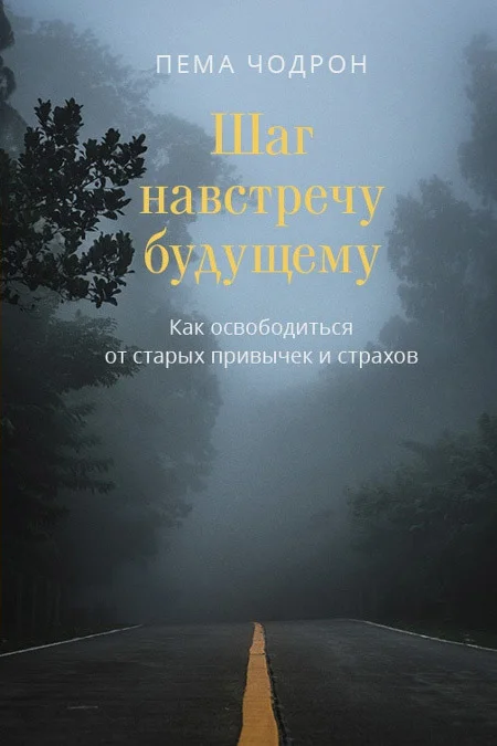Обложка Шаг навстречу будущему. Как освободиться от старых привычек и страхов